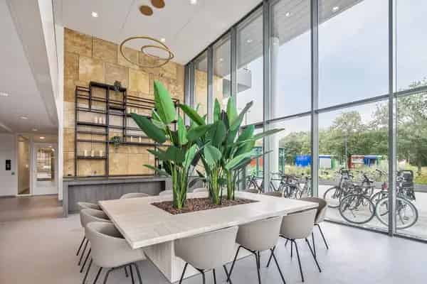 Luxe 2 Kamer Appartement Eindhoven - Vredeoord