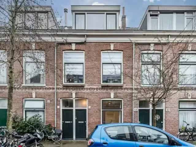 Benedenwoning Haarlem Frans Halsbuurt Diepe Tuin