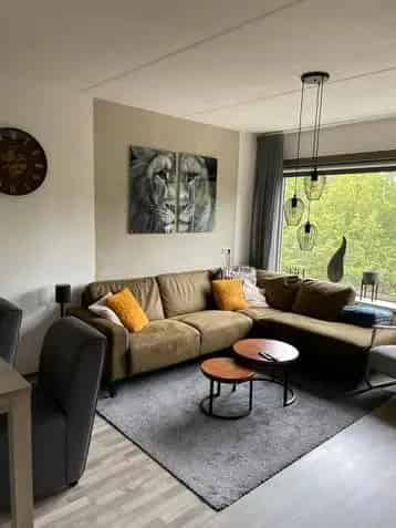 Appartement Te Huur , Aa en Hunze, Drenthe