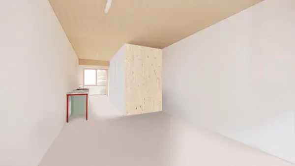 Studio's Amsterdam Noord  Q2 2025