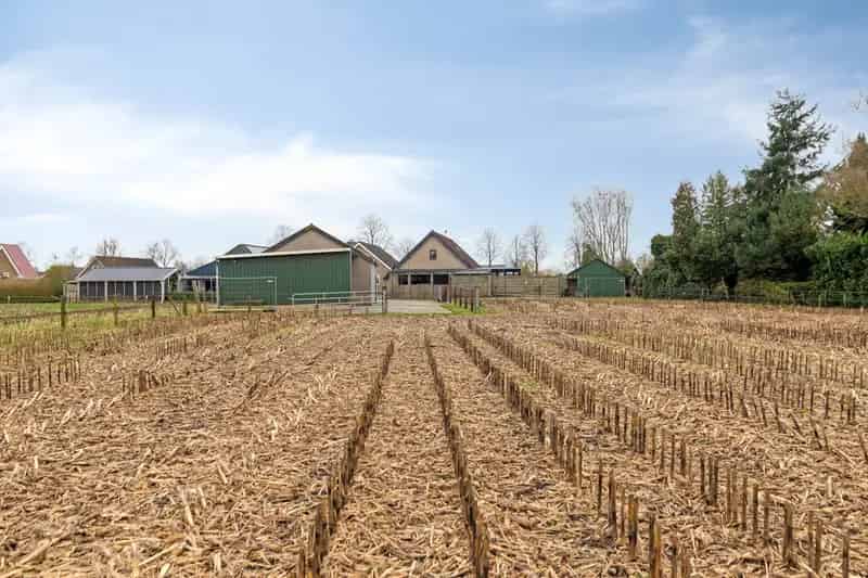 Vrijstaande woning Lutten met paardenstallen en grote schuur