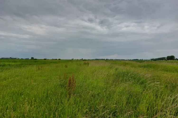 Agrarische grond Zwartsluis | Zoek agrarische grond te koop: Sluizerdijk 8064 PH Zwartsluis [funda in business]