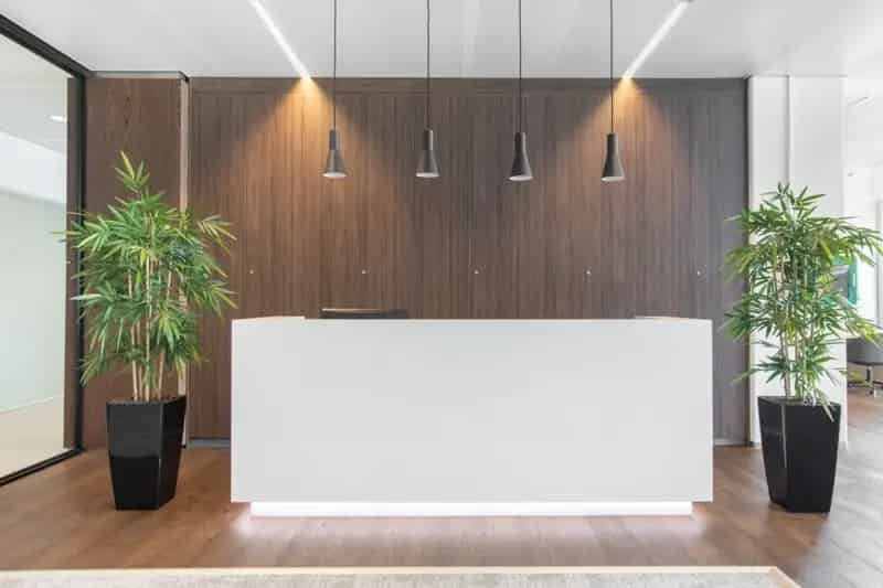 Betaalbare Kantoorruimte Regus: Flexibel en Professioneel Werken