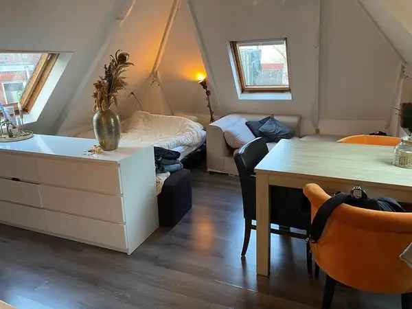 Appartement Te Huur in Groningen, Groningen