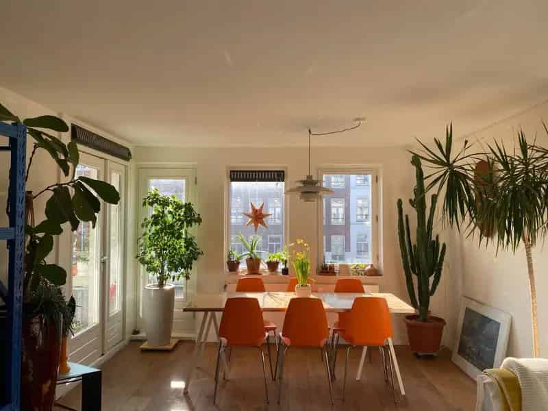 Appartement Amsterdam Oost Dappermarkt