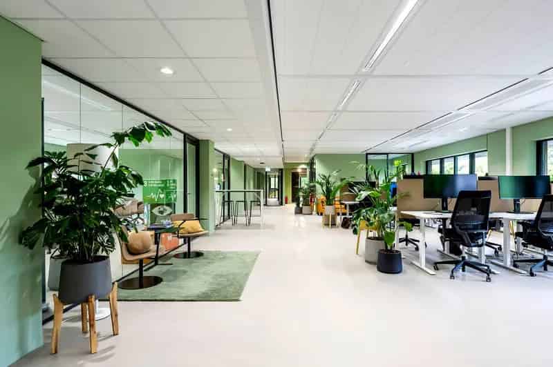 Kantoorruimte Haarlem 364m² te huur  - Recent gerenoveerd