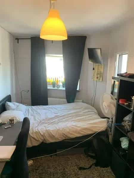 Gezellig Huis Met Dakterras En Bar