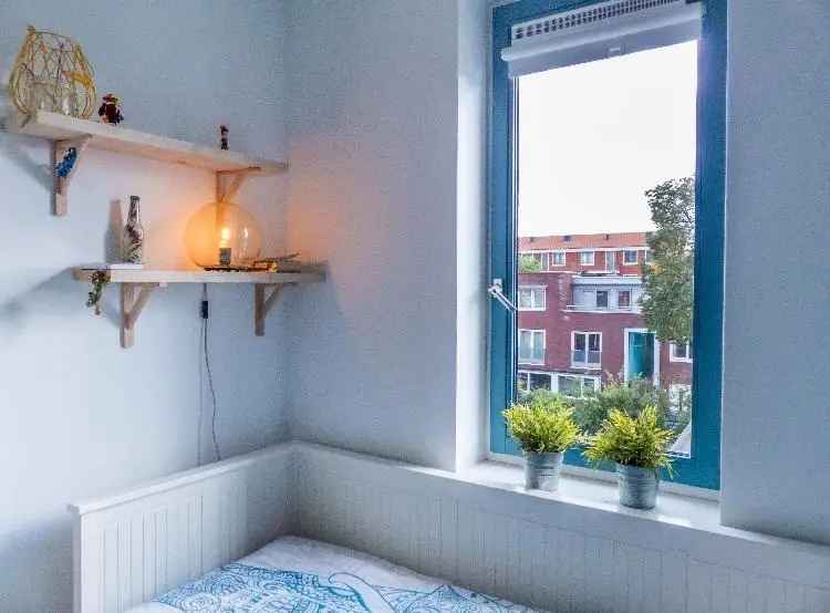 Gezellige Kamer Aan Het Water Nabij Amsterdam