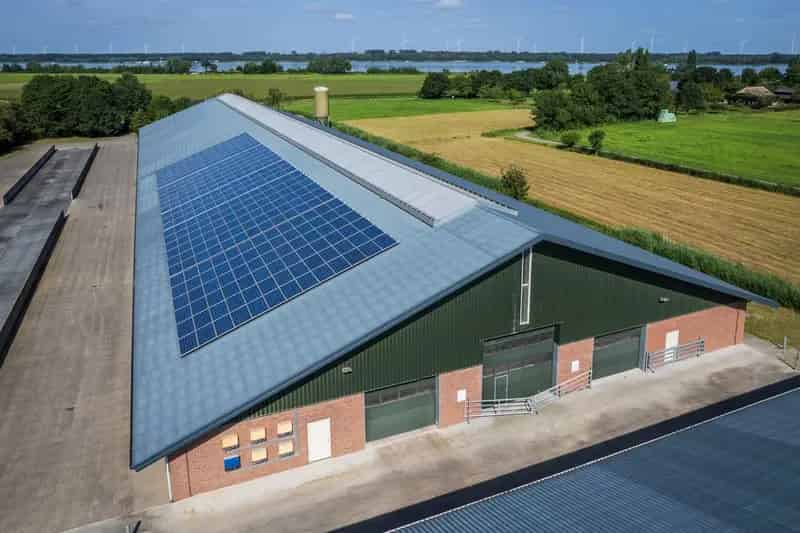 Melkveebedrijf te Koop Doornspijk 79 hectare