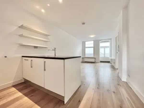 Appartement Van Woustraat Amsterdam