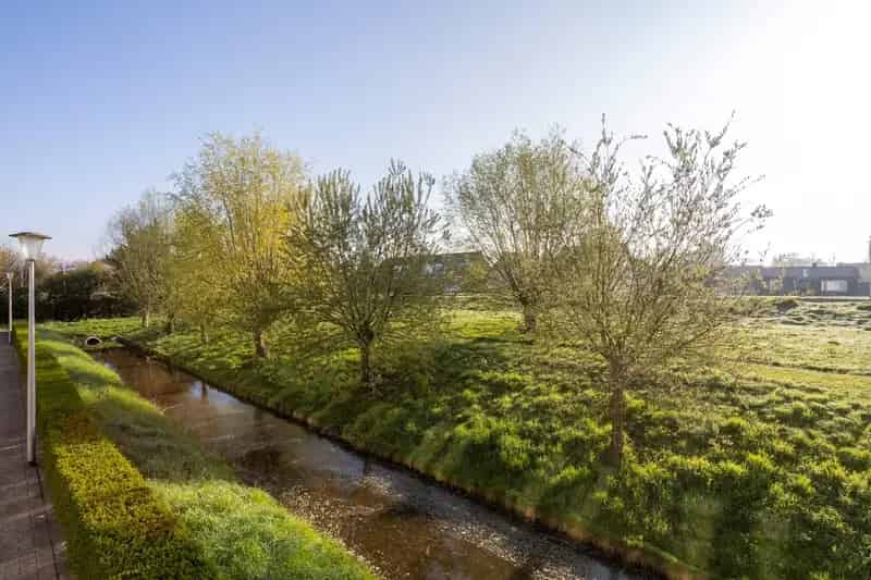 Huis te koop Meerpolder 4 slaapkamers 160m2 Energielabel A