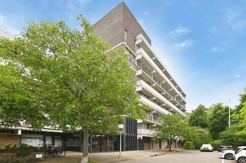 Ruim 4-Kamer Appartement Den Haag - Madestein