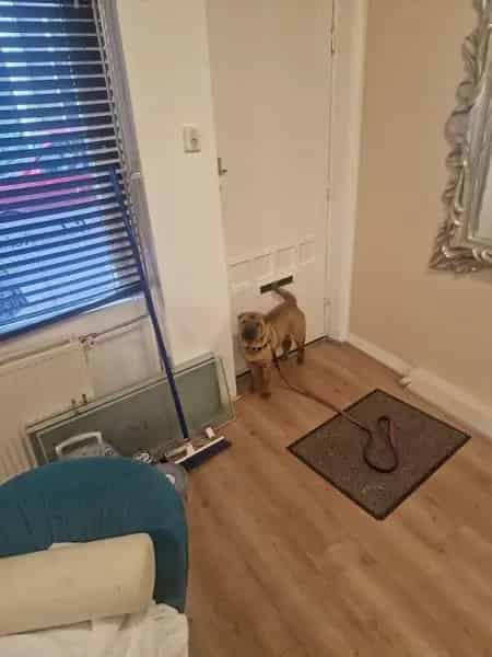 Bedrijfsruimte te Huur  Eventueel Combinatie Wonen