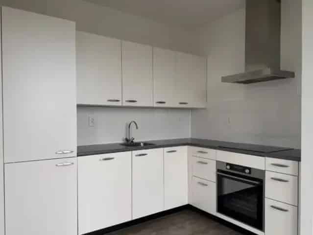 Luxe Penthouse Amersfoort Vathorst 4 slaapkamers 2 dakterrassen