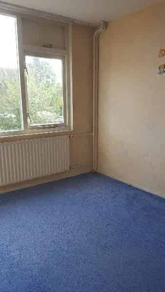 Kamer te huur Nijmegen: Rustig wonen, alles binnen handbereik
