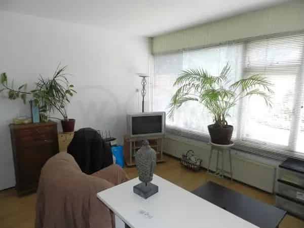 2 Kamer Bovenwoning te Huur Rustige Wijk