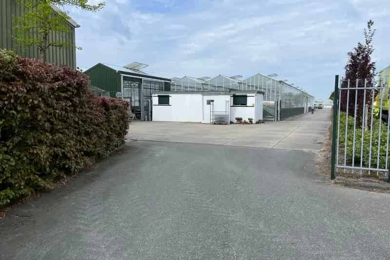 Te Koop GlasTuinbouwbedrijf Zwaanshoek Potplantenkwekerij