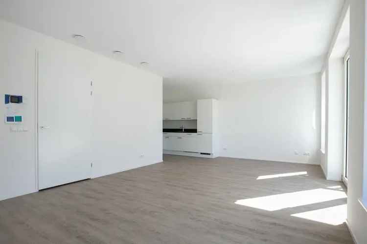 Appartementen Westerwal Groningen: Ruime 2 en 3 Kamer Appartementen