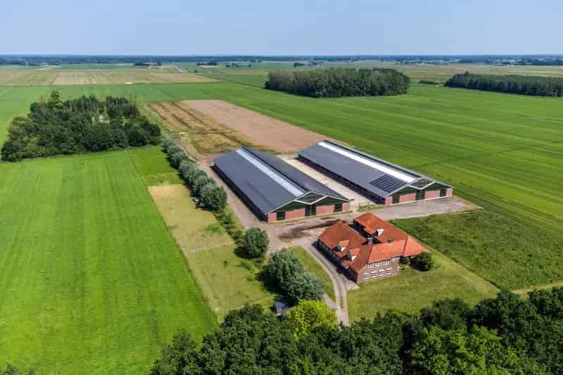 Agrarisch bedrijf Zwolle | Zoek agrarische bedrijven te koop: Wijheseweg 53 8015 RB Zwolle 
