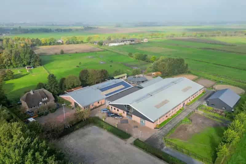 Hippische Accommodatie Berghem 31 Paardenboxen Ruim 4 Hectare