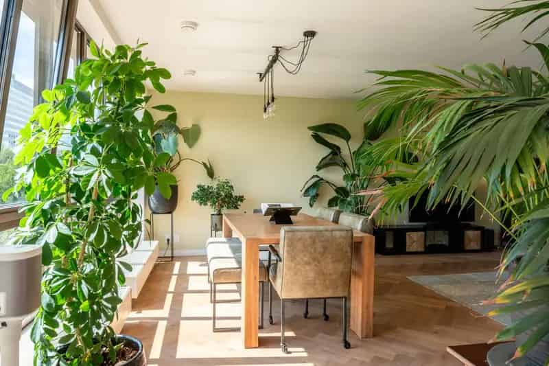 Appartement te koop: Saskia van Uijlenburgkade 14 1058 GA Amsterdam | Funda