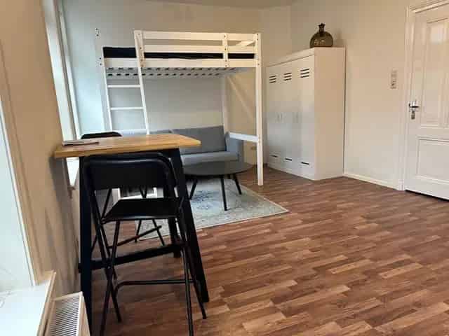 Haarlem Benedenwoning 28m2 1 Kamer 1890