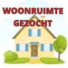 Woonruimte gezocht Drachten 1 persoon hond Duitse Herder