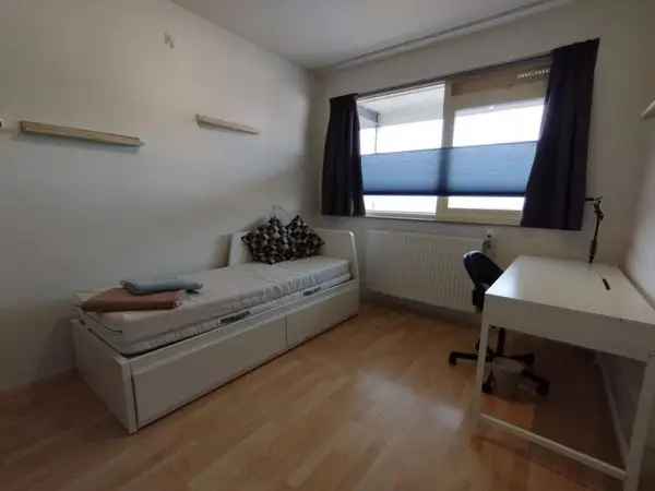 2 Kamer Appartement Arnhem Platte Burg Gemeubileerd