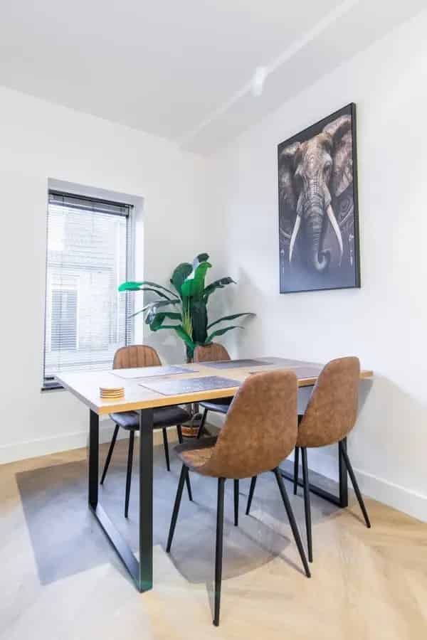 Appartement Tilburg: Gemeubileerd 2-kamer appartement vanaf 1 juli