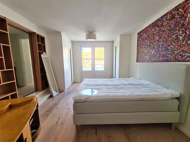 Gemeubileerde Maisonnette Leiden Centrum - Dakterras