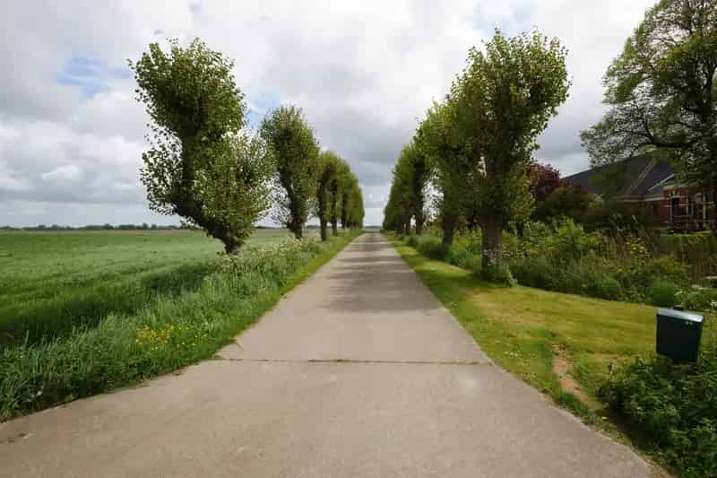 Agrarisch bedrijf Winsum 53,5 hectare