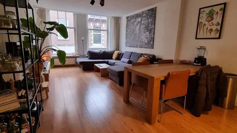 Luxe 3 Kamer Appartement Haarlem Grote Houtstraat Dakterras