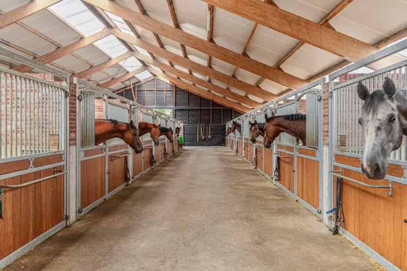 Huis te koop: Hippische accommodatie met 2 woningen en uitgebreide faciliteiten