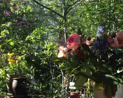 Amsterdam Jordaan Studio 45m2 Tuin April-Juli