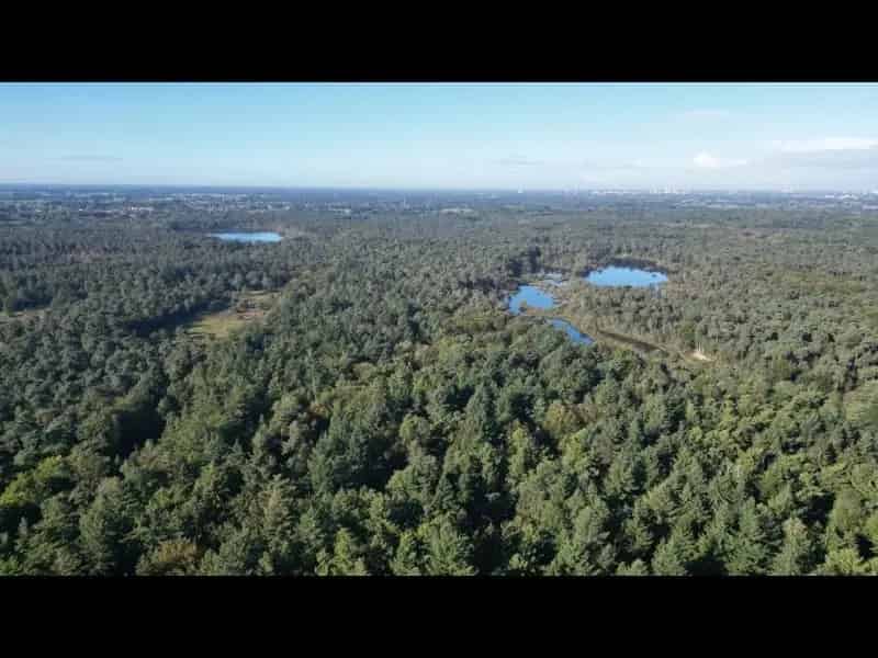 Bouwgrond Oisterwijk Bosrijke omgeving Natura 2000