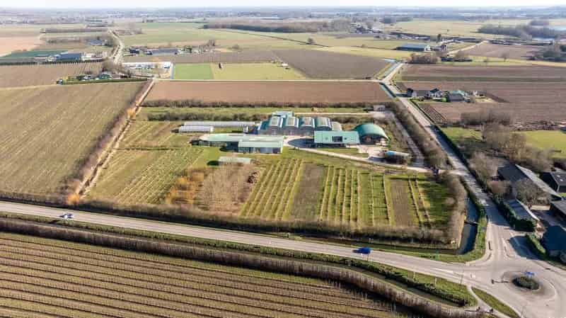 Agrarisch bedrijf Ophemert te koop: wonen en werken gecombineerd