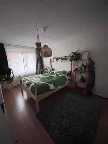 Ruime Kamer Borne - Rustig en Gemeubileerd
