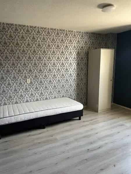 5 Slaapkamers Tussenwoning Almelo Windmolenbroek