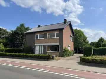 Huis te huur Pelt Ringlaan 50