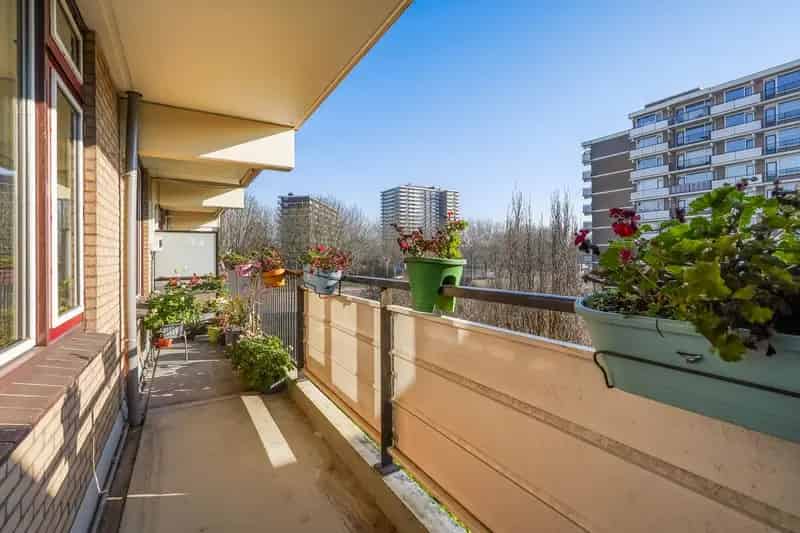 Appartement te koop Rijswijk 4 kamers 103m

