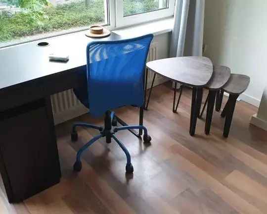 Kamer Rotterdam Stadscentrum Studenten Vrouwelijk