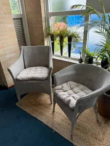 Lloyd Loom Stoelen met Kussens Antieke Stijl