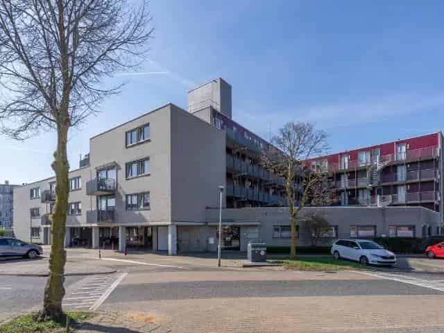 3-kamer appartement Arnhem-Zuid - gerenoveerd - startersappartement