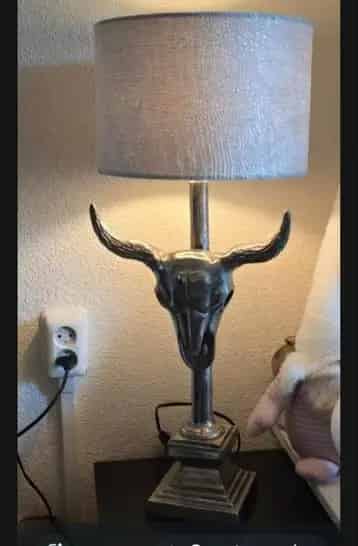2 Mooie Skullampen Zonder Kap