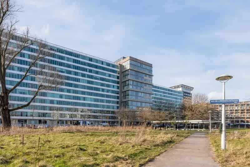 Studio Amsterdam West Bos en Lommerplantsoen Starters