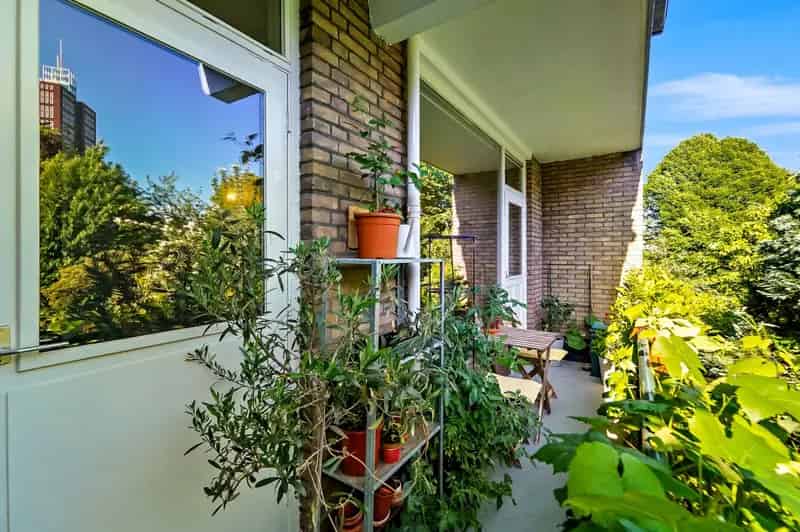 3 Kamer Appartement Den Haag Groen Uitzicht Balkon