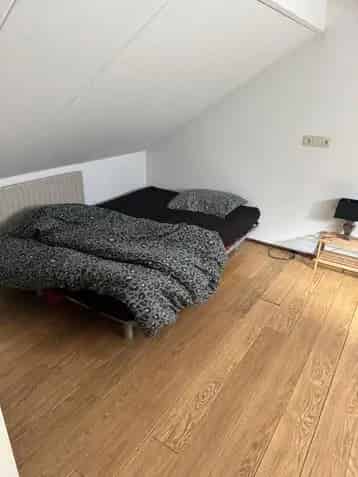 Kamer te Huur Nieuw Amsterdam Drenthe