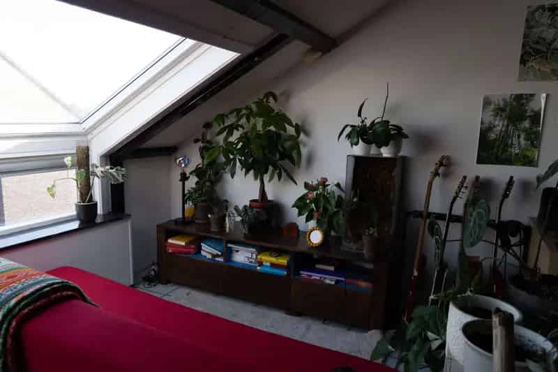 Studio te huur vanaf 1 juli
