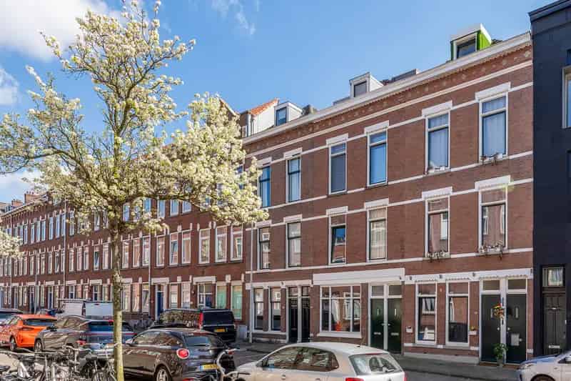Royale Herenwoning Oud-Charlois 5 Slaapkamers Tuin