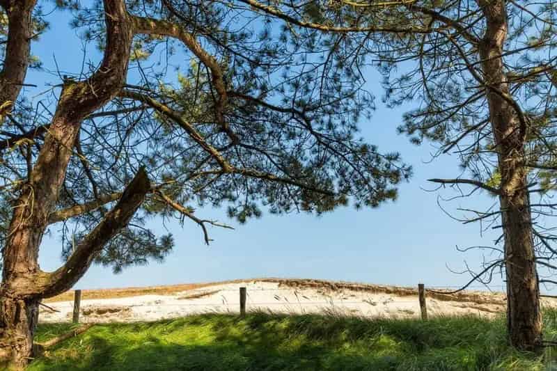 Landgoed Schouwse Hoeve Renesse Vrijstaande Villa Te Koop